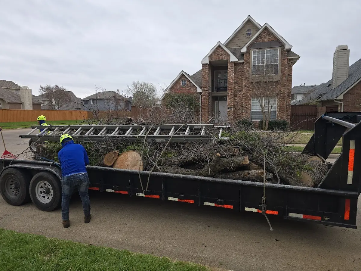 Expert Tree Fertilization with proper safety equipment in Ghent
